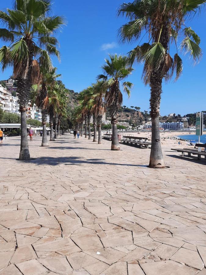 Habitacion Delante De La Playa ブラナス エクステリア 写真